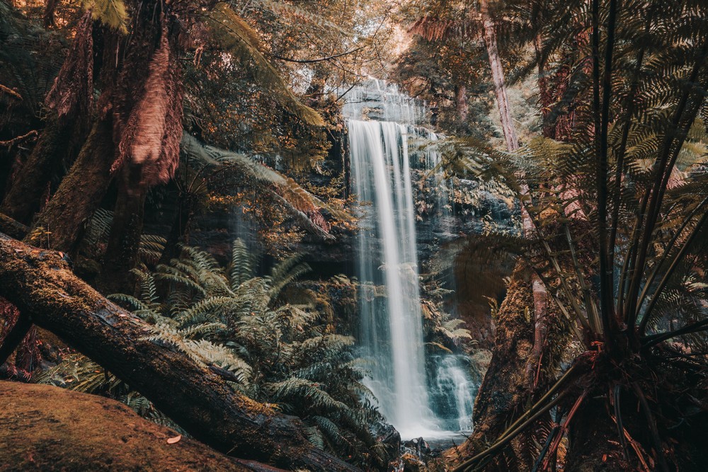 Mt Field National Park, Tasmania, Australia