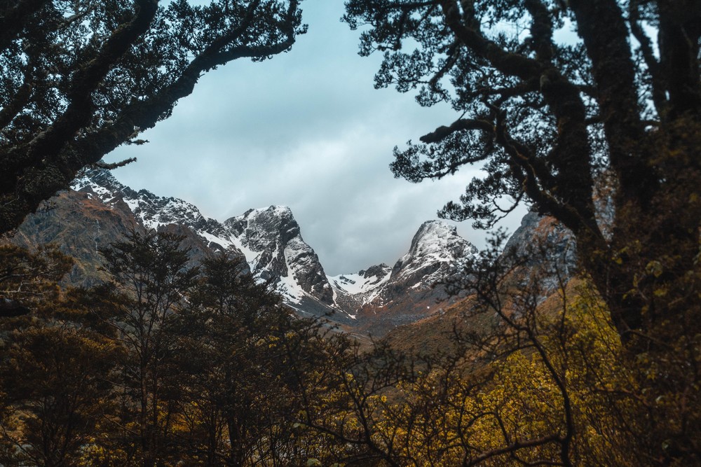 Routeburn track, New Zealand