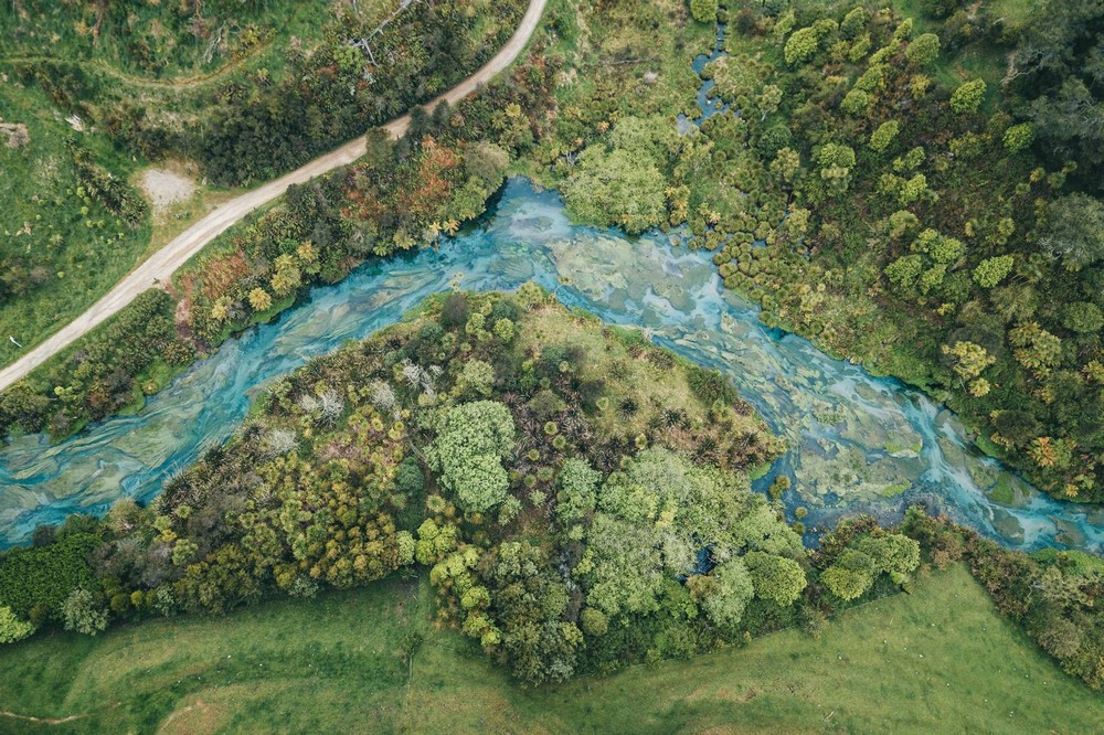 Blue Spring Putaruru, New-Zealand