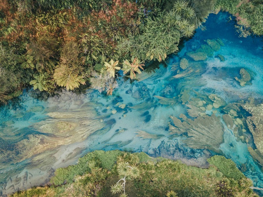 Blue Spring Putaruru, New-Zealand