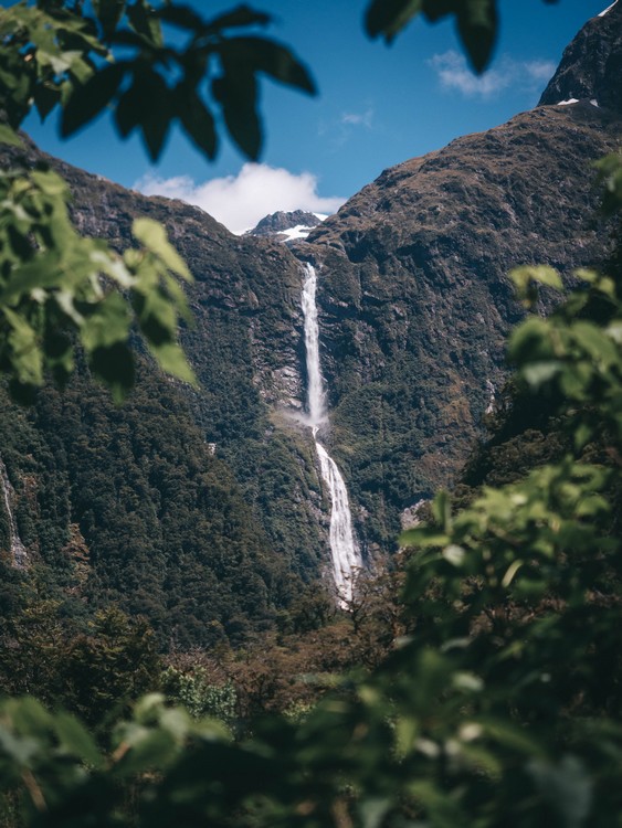 Milford track, New Zealand