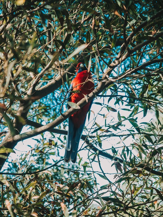 Sydney, Australia