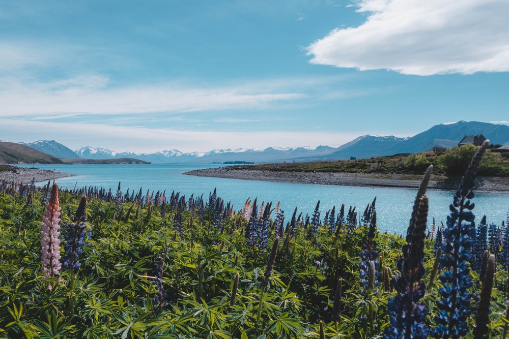 Tekapo Lake, New Zealand