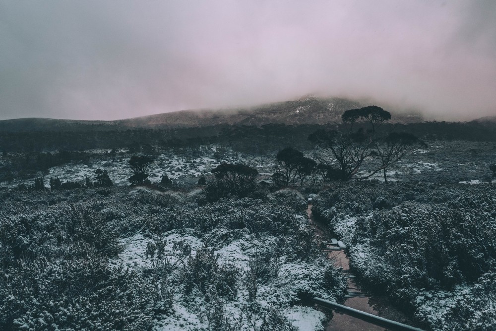 Cradle Mountain, Tasmania, Australia