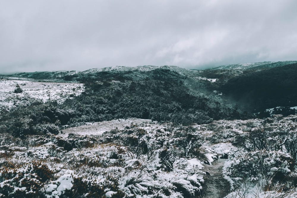 Cradle Mountain, Tasmania, Australia