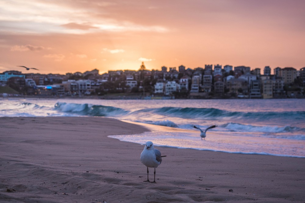 Bondi beach, Australia