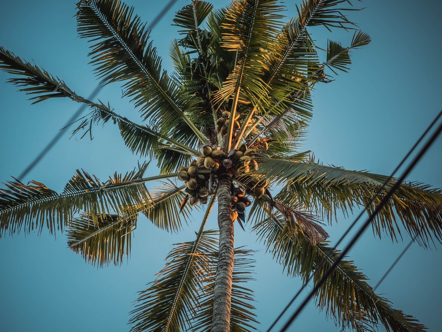 San Blas, Panama