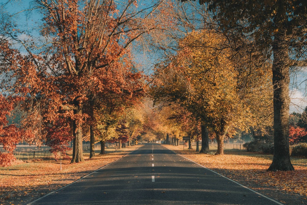 Bright, Australia