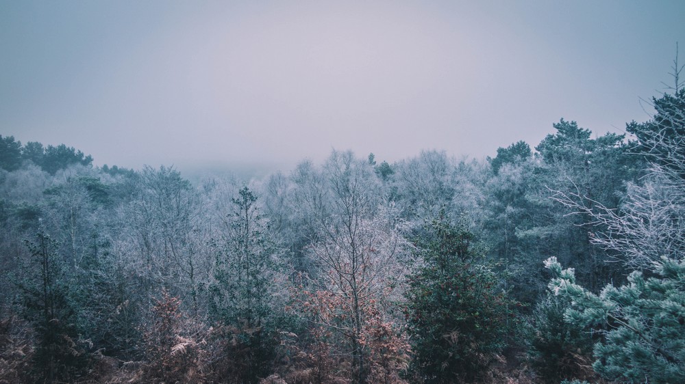 Fontainebleau, France