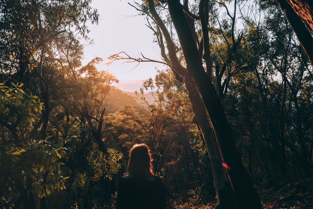 Blue Mountains, Australia