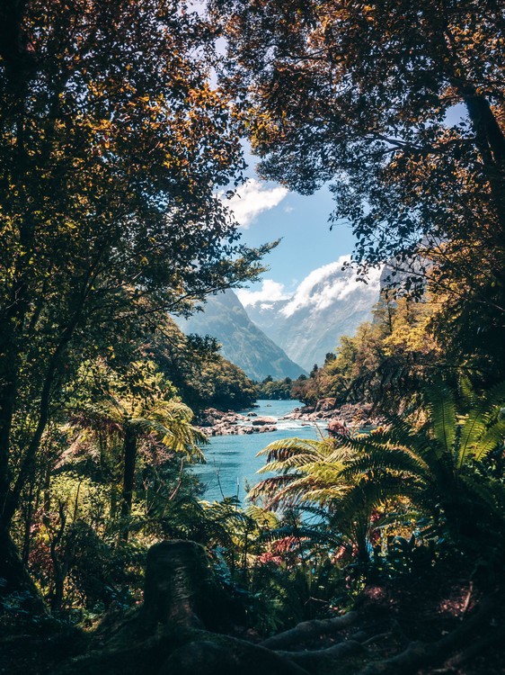 Milford track, New Zealand