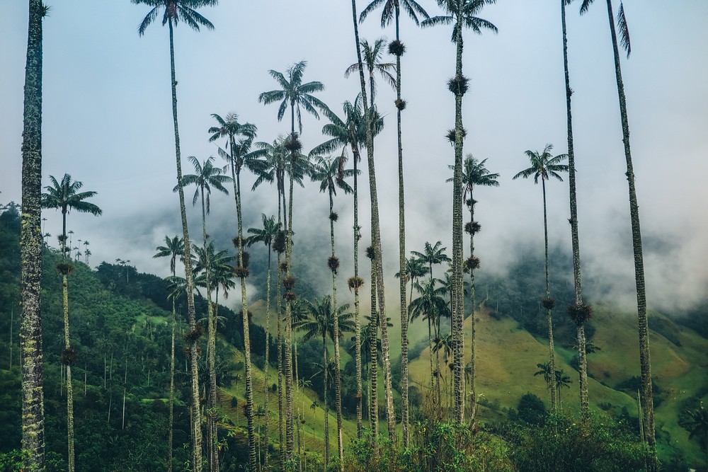 Salento, Colombia