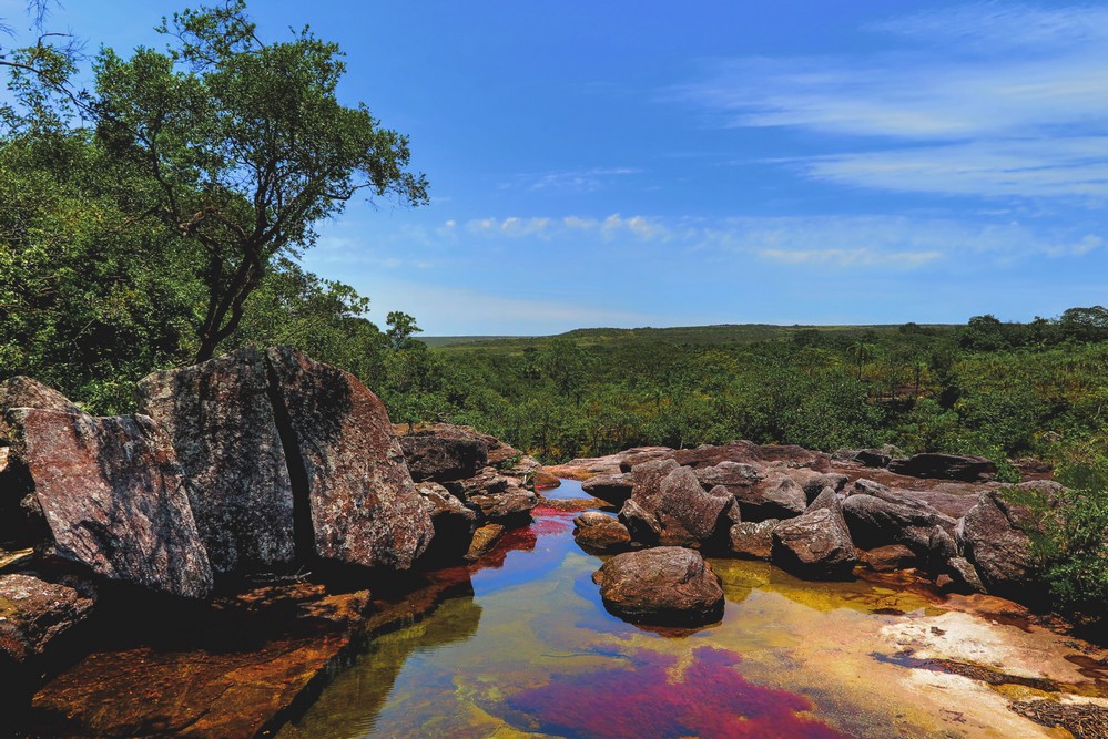 Caño Cristales, Colombia