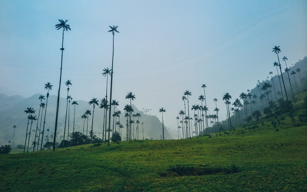 Salento, Colombia