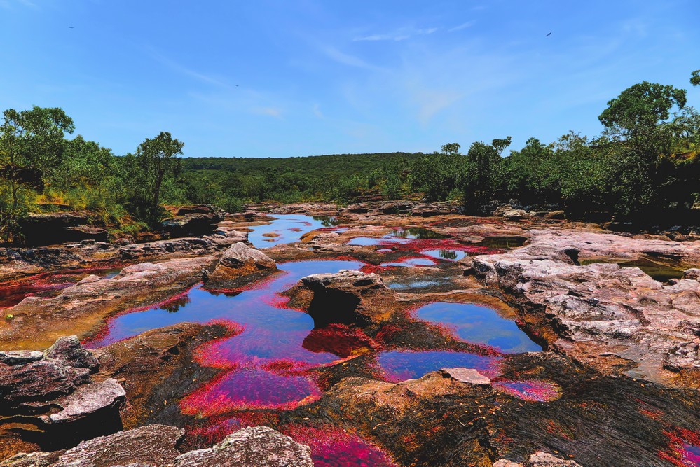 Caño Cristales, Colombia