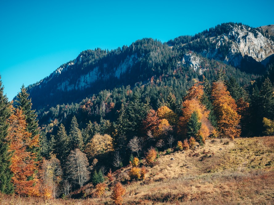 Charmant Som, France