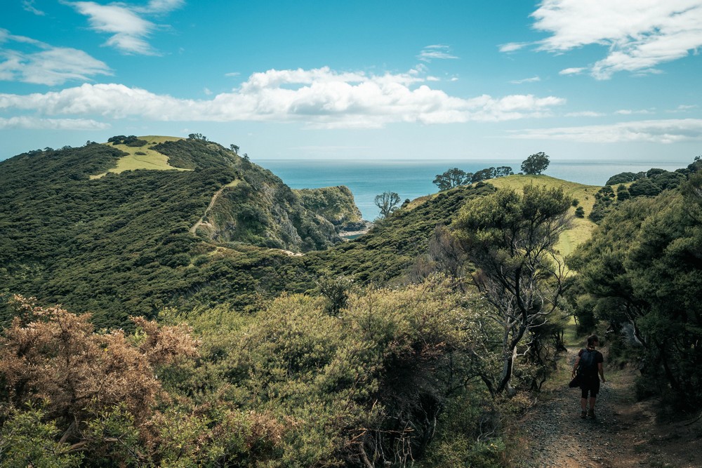 Urupukapuka, New Zealand