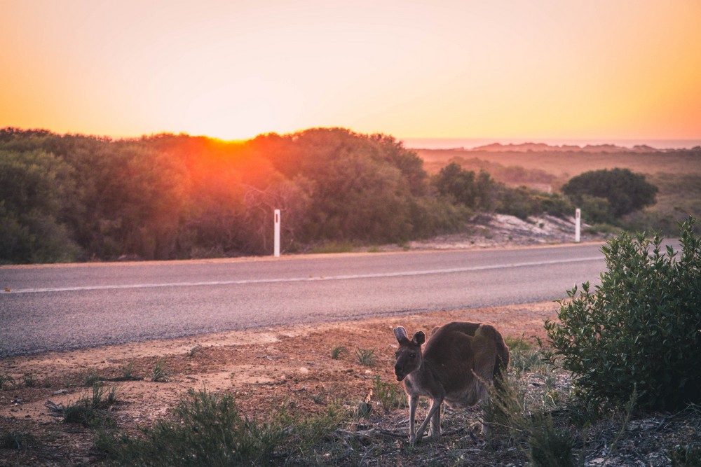 Australia