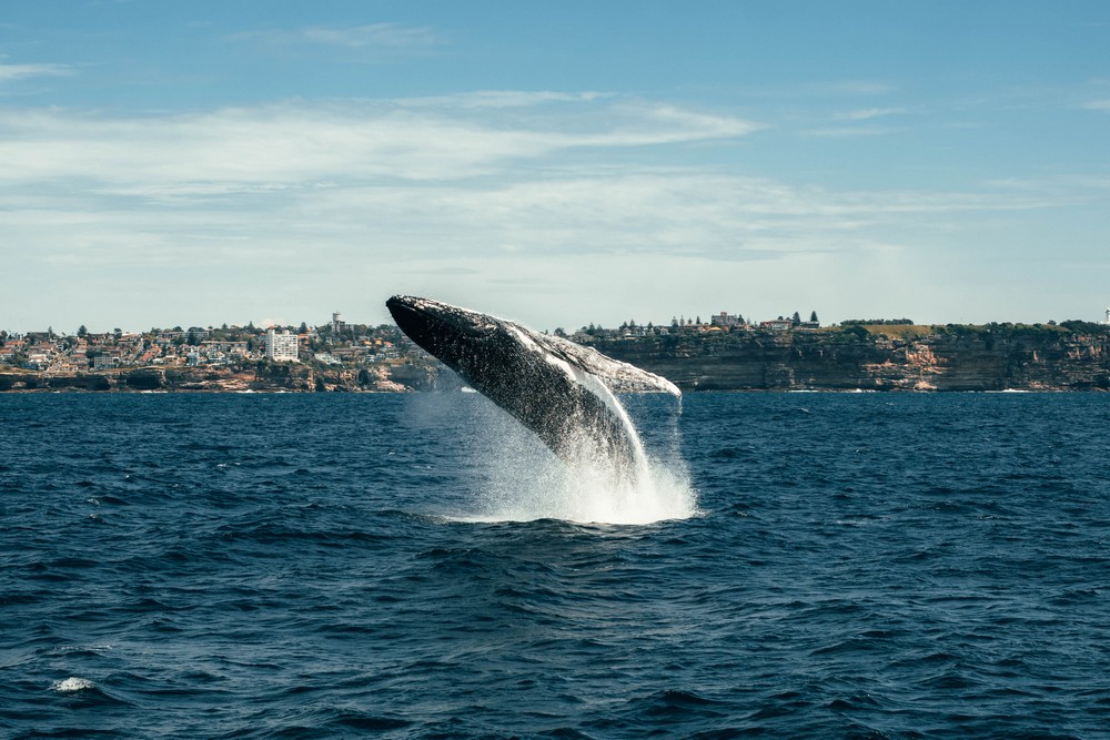 Sydney, Australia