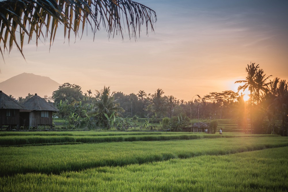 Ubud, Indonesia